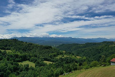 Alta Langa Landscape